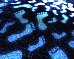 Digital Footprint